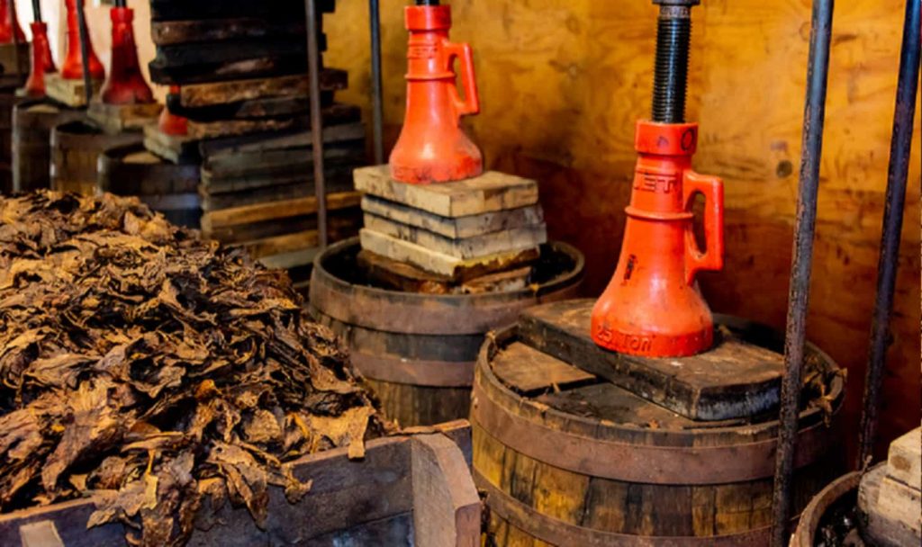 Whiskey barrels used in the Perique fermentation process